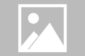注册赢好礼-【俄甲】伏尔加格勒vsSKA哈巴罗夫斯克伤病名单最新(2025年09月07日)